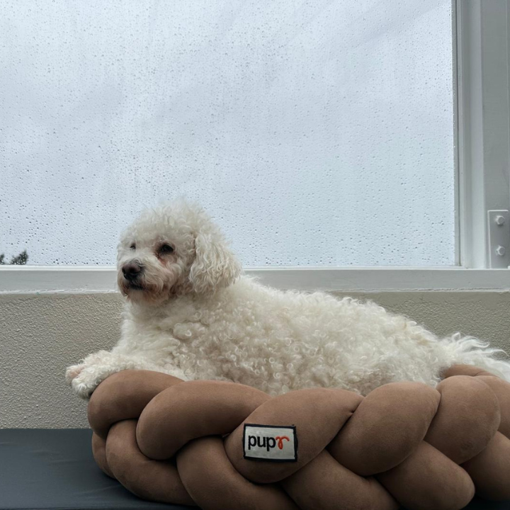 Bruno Beige Dog Bed
