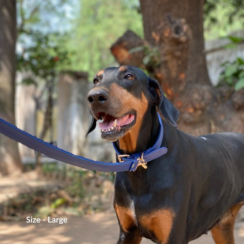 Dog Leashes(Navy Blue)