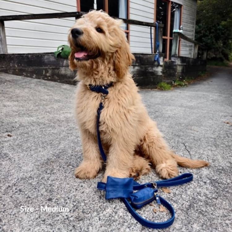 Navy Blue Dog Collar