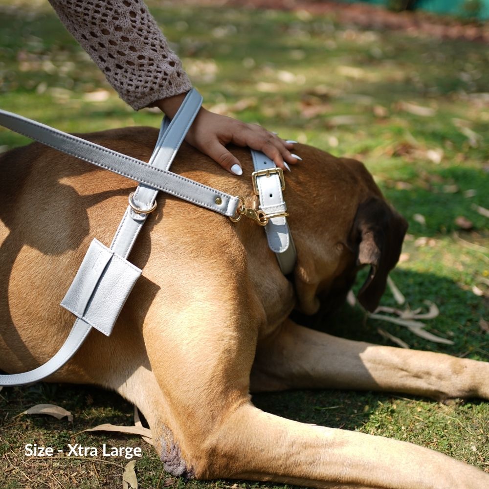 Dog Leashes(Beige)