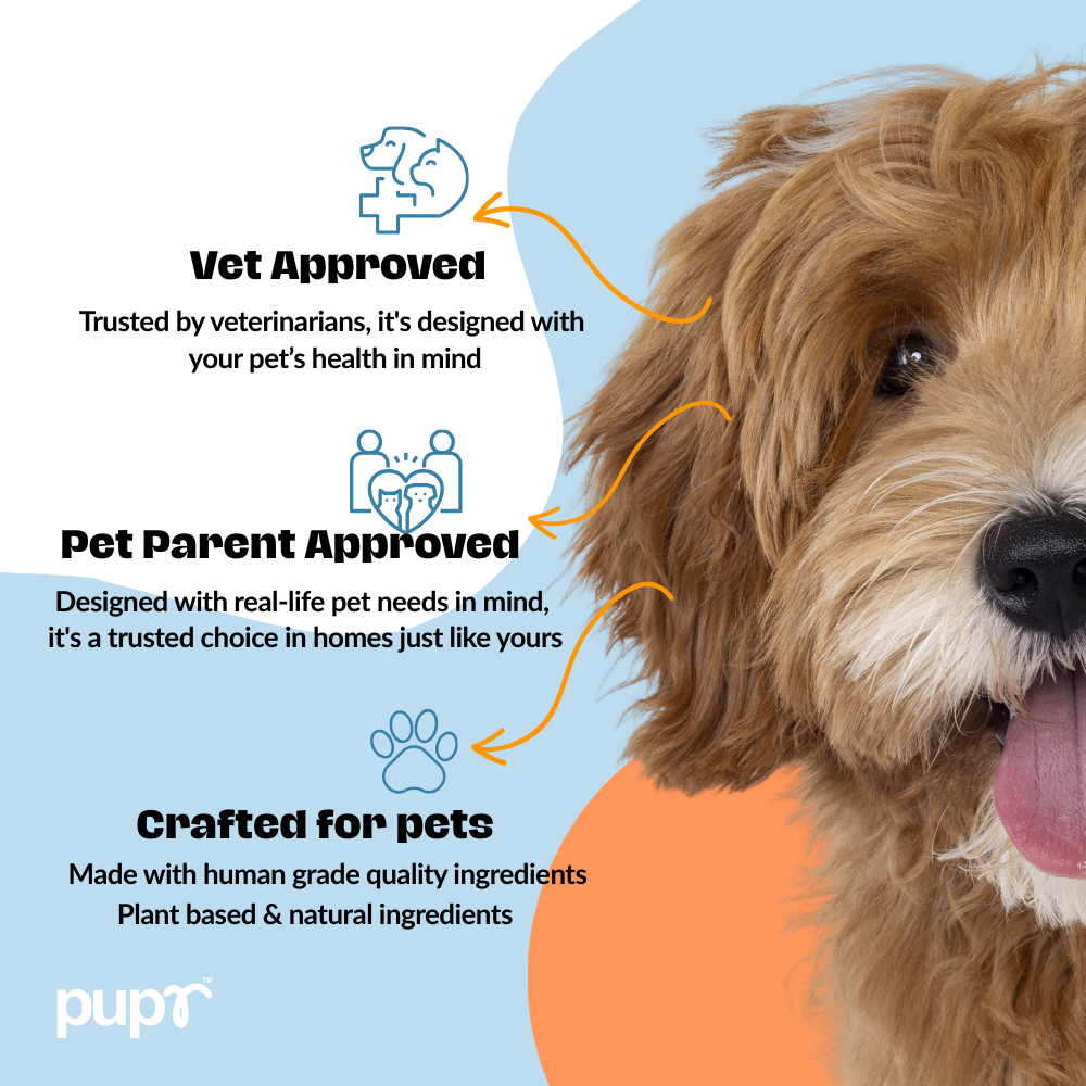 Cleansing Dog Shampoo