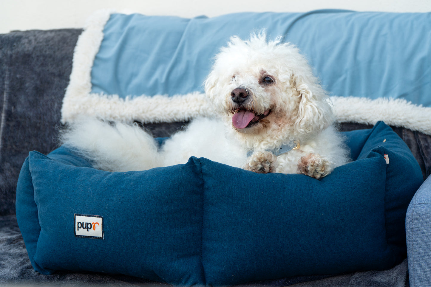 Blue Dog Blanket
