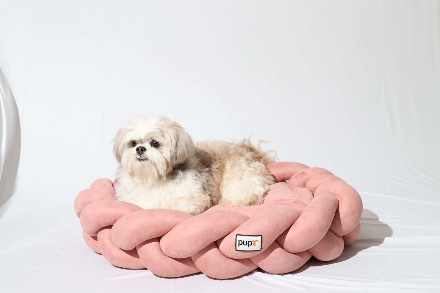 Blush Bruno Dog Bed