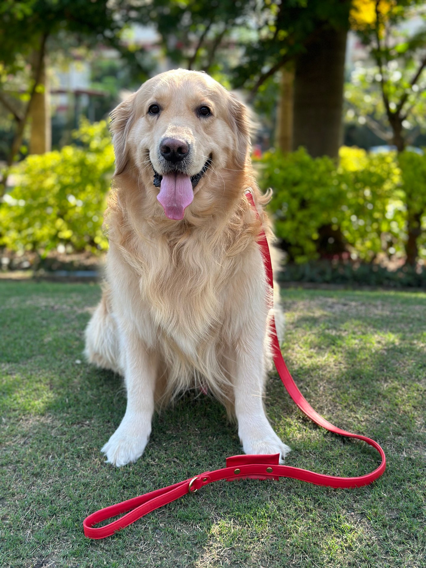 Dog Leashes(Red)