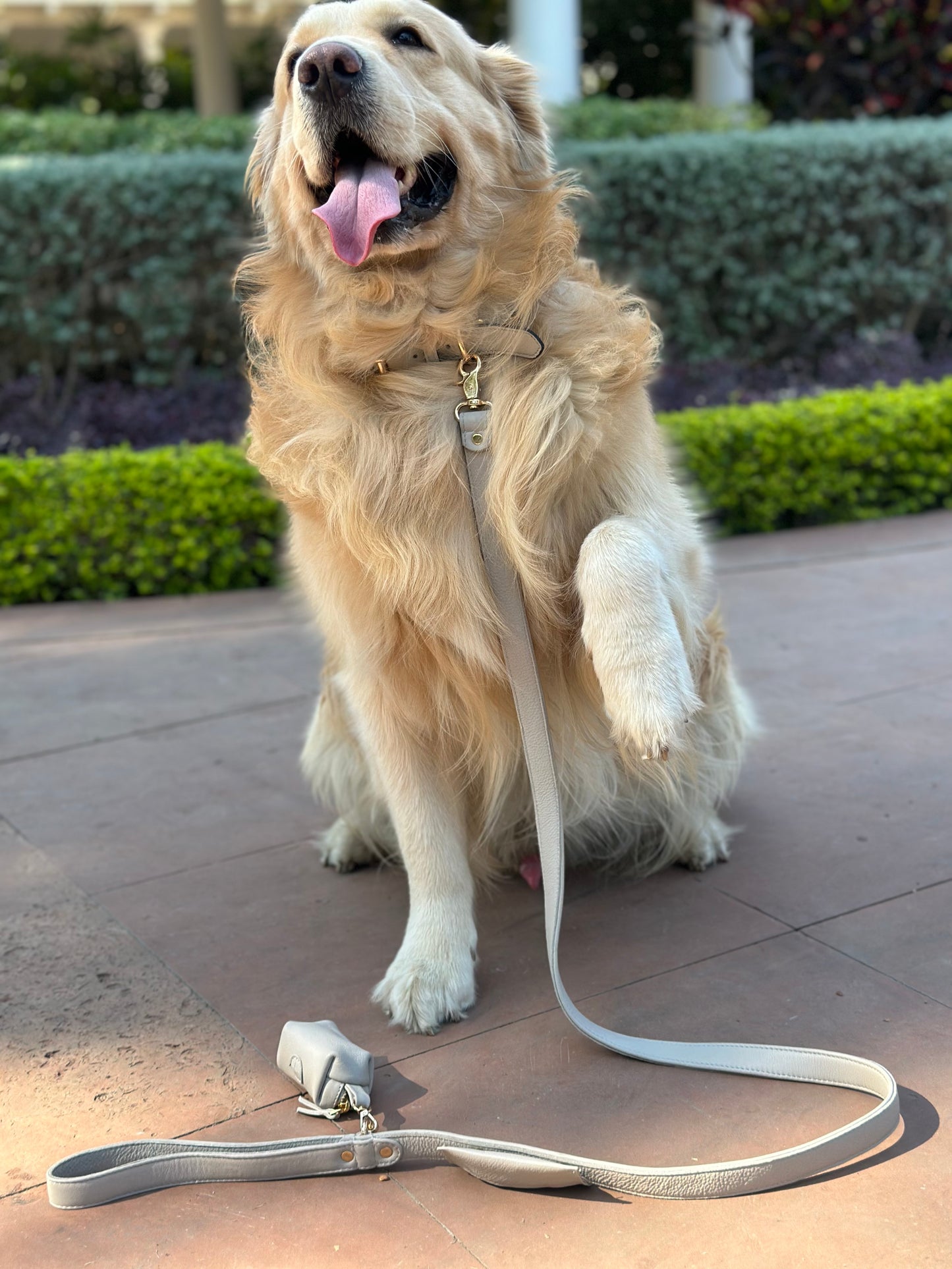 Beige Dog waste Bag Holder