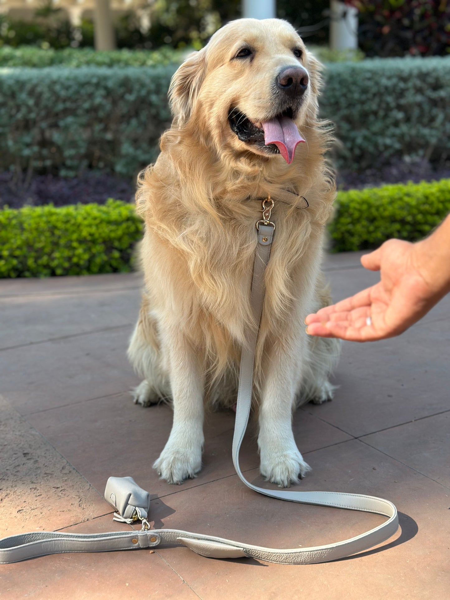 Dog Leashes(Beige)