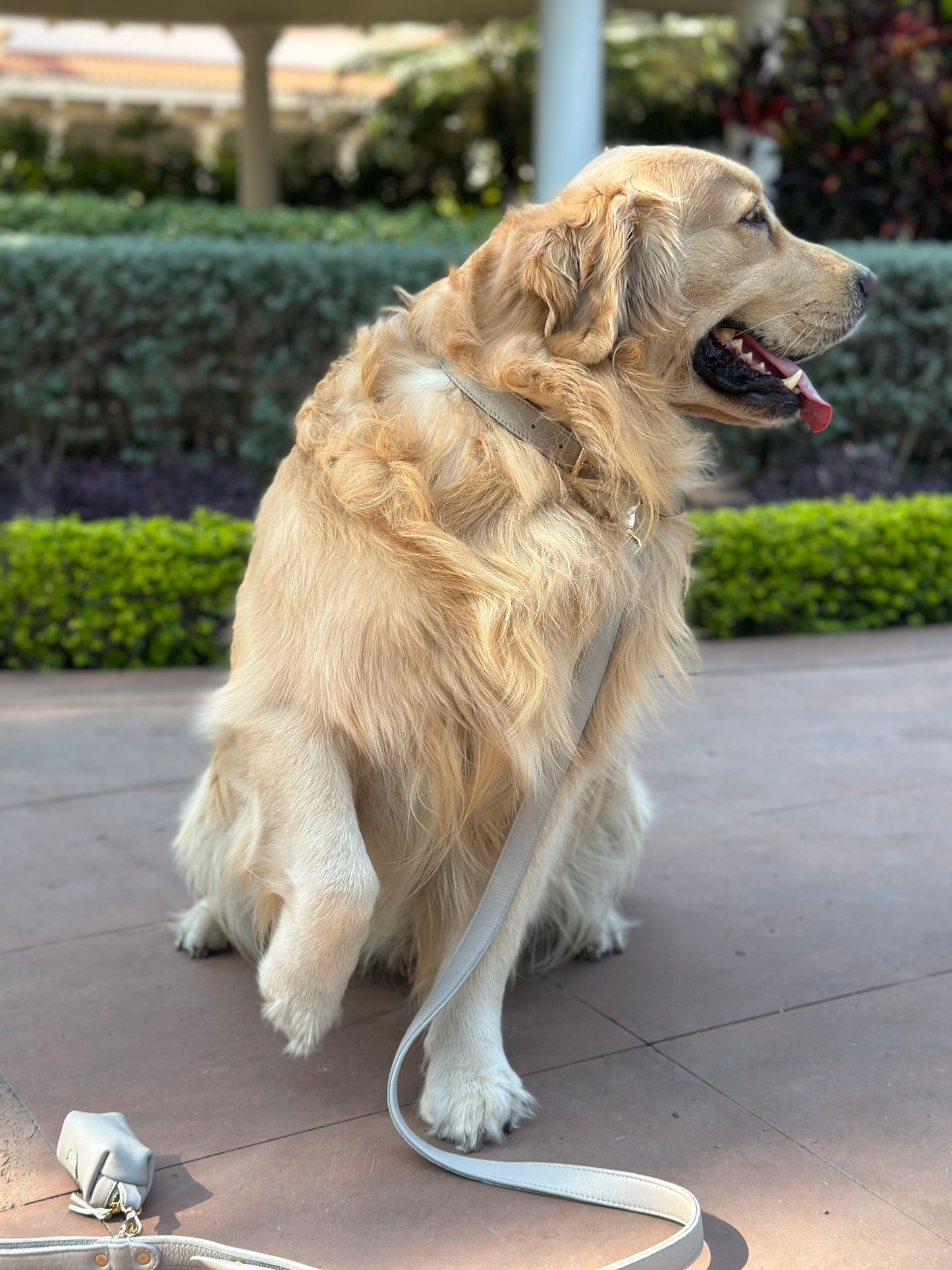 Beige Dog waste Bag Holder