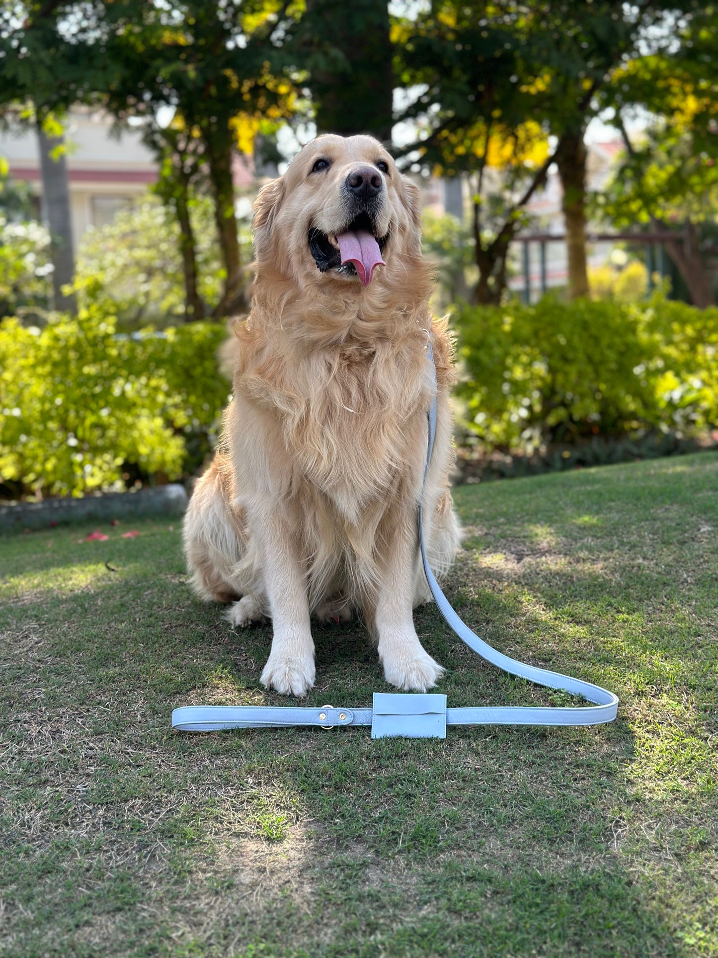 Dog Leashes(Blue)