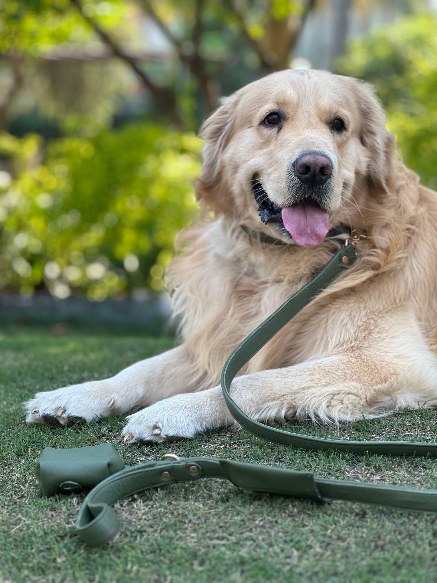 Sage Dog waste Bag Holder