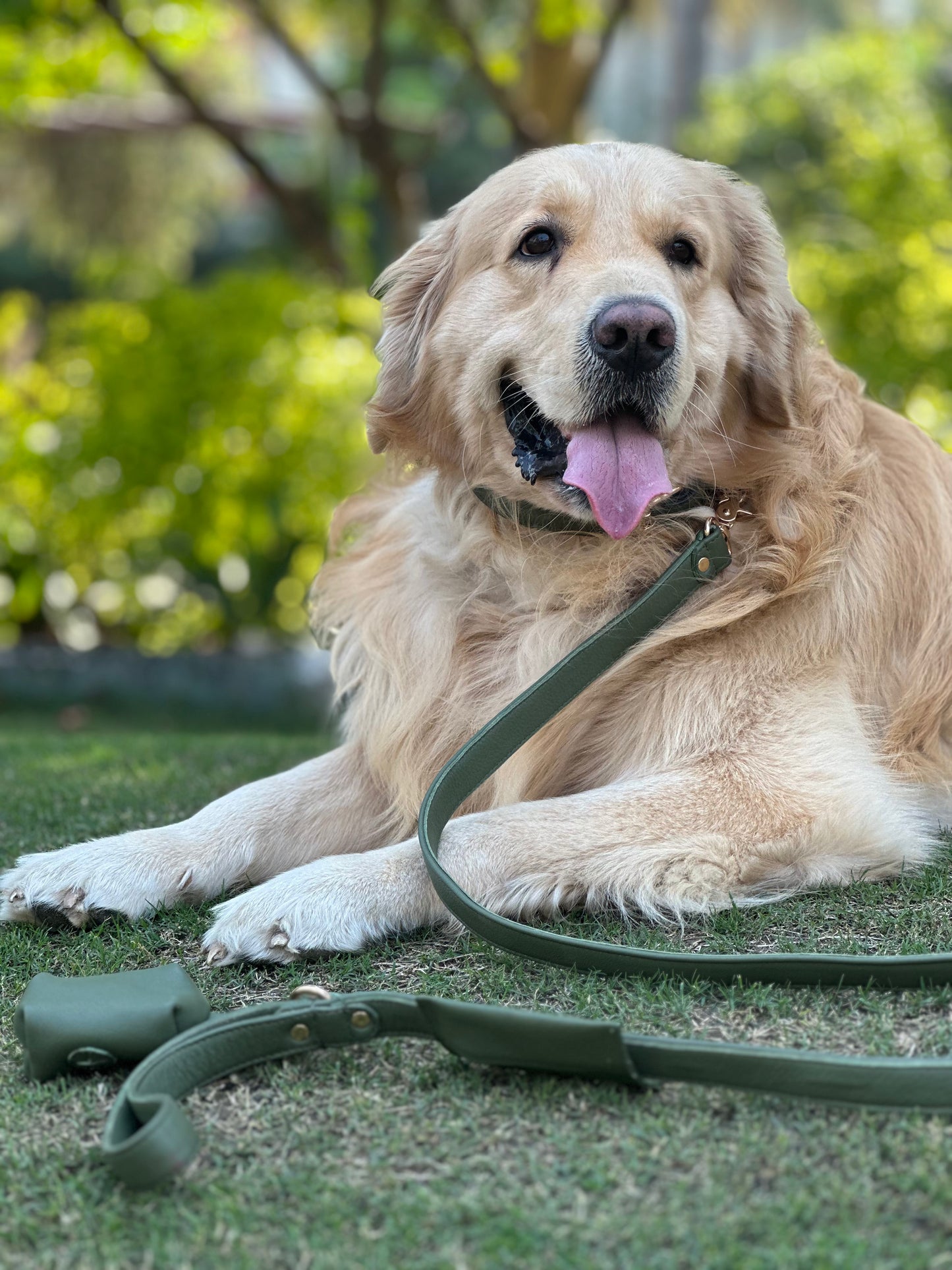 Dog Leashes(Sage)