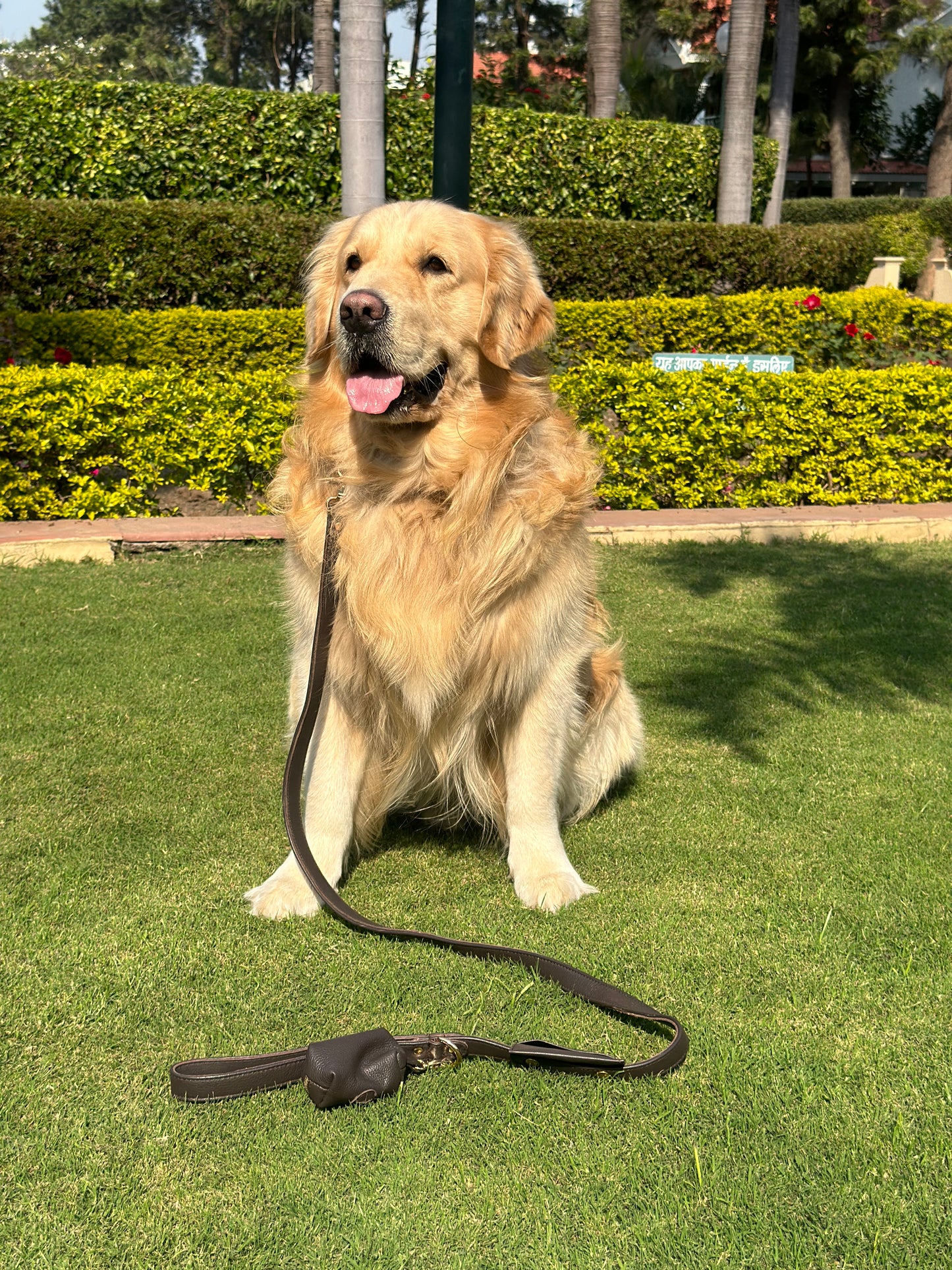 Brown Dog waste Bag Holder