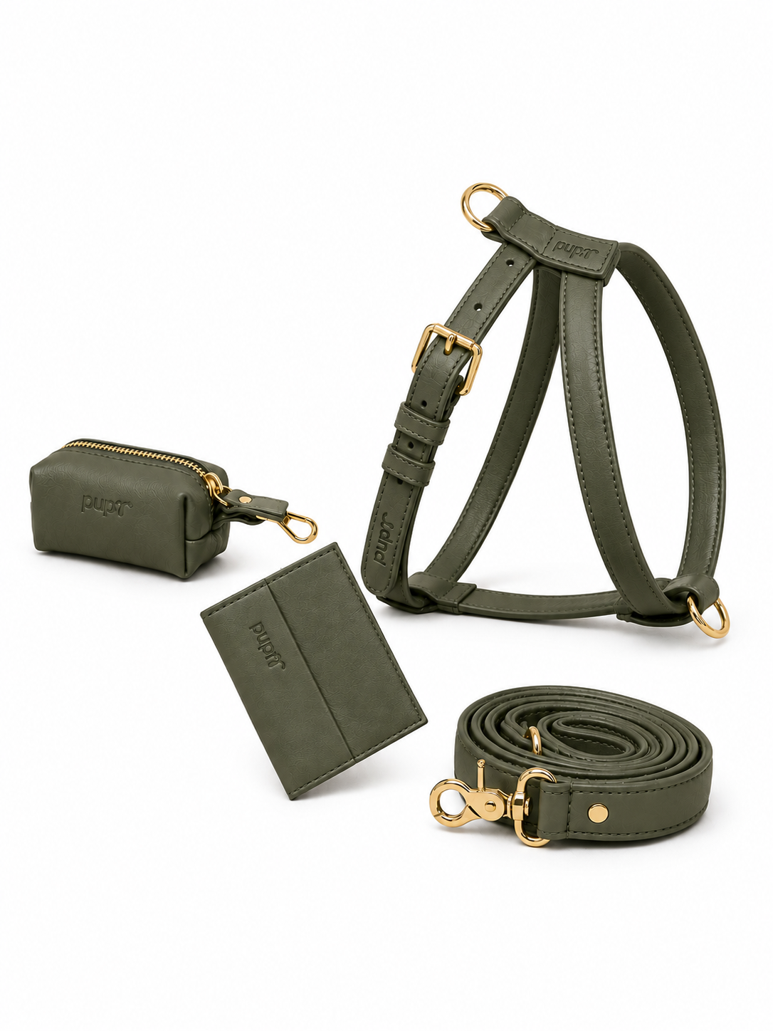 Jade Green Dog Harness Walk Set