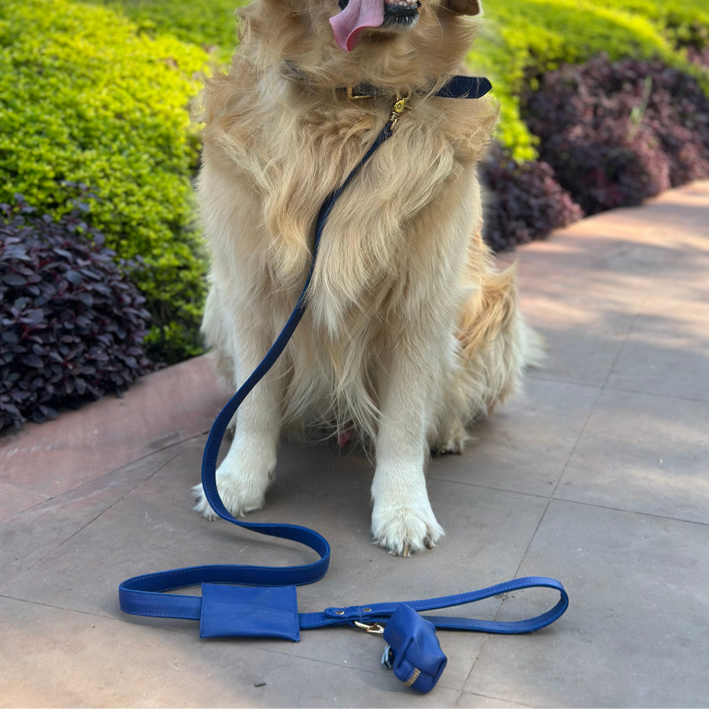 Navy Blue Dog waste Bag Holder
