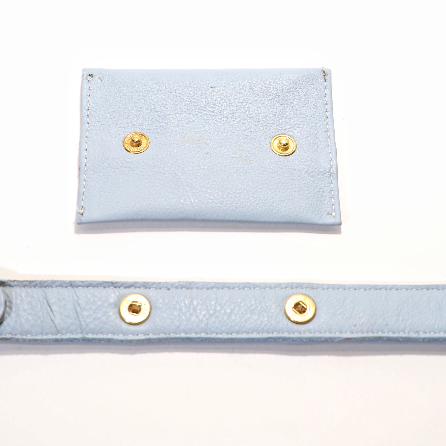 Blue Dog Treat Bag