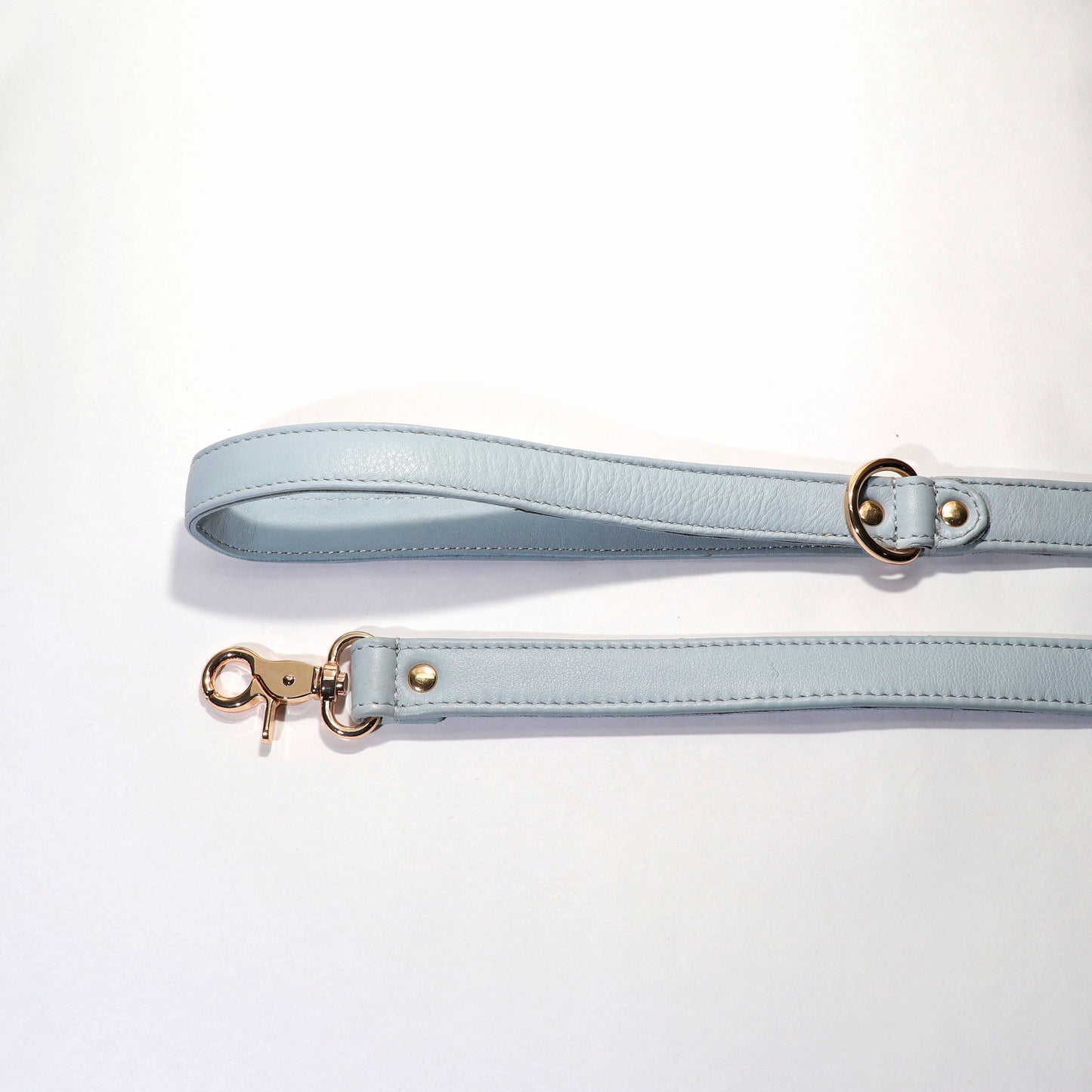 Dog Leashes(Blue)