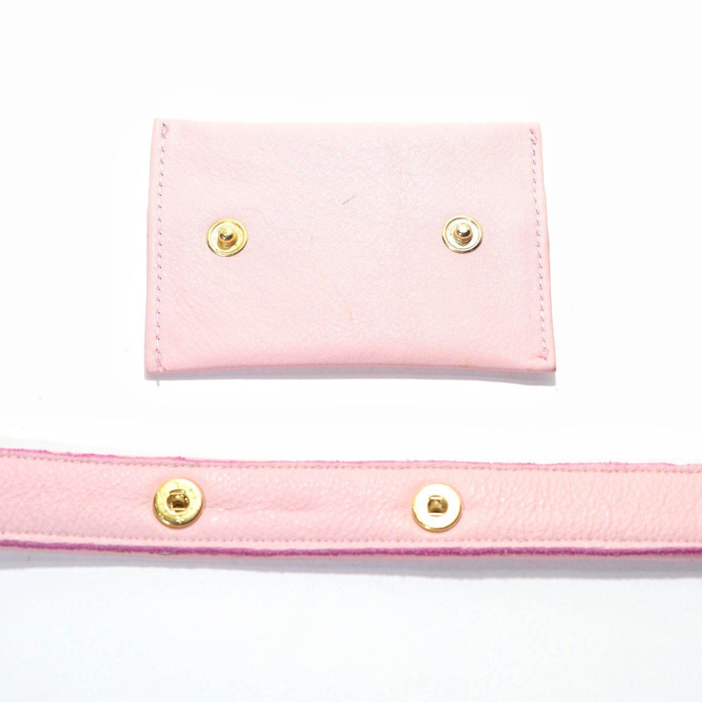Blush Dog Treat Bag