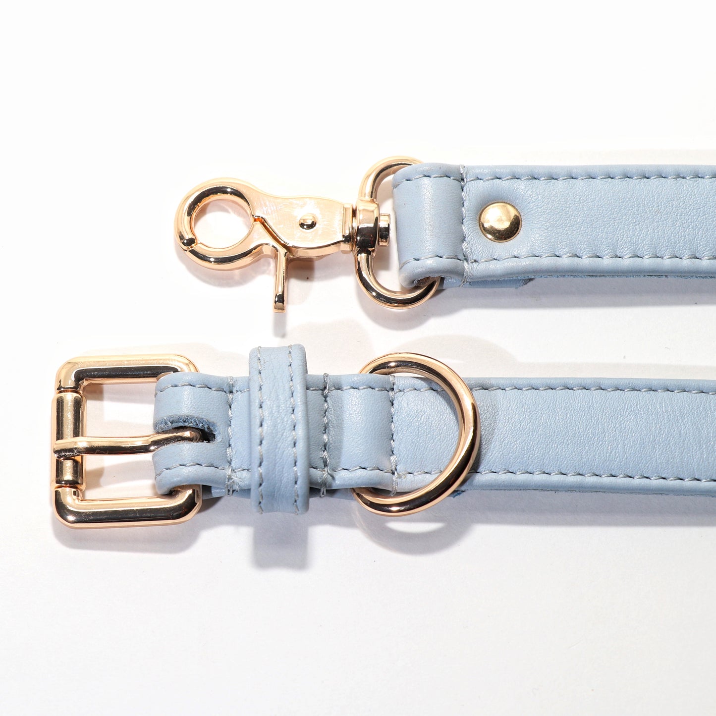 Dog Leashes(Blue)