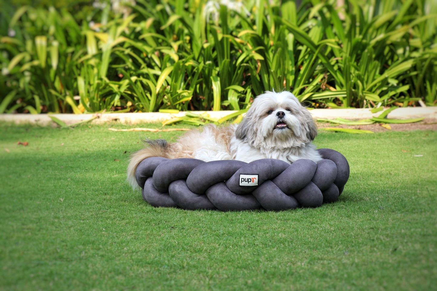 Bruno Grey Dog Bed