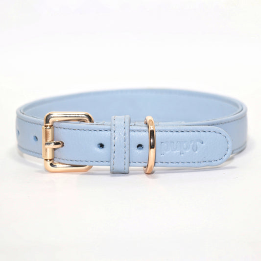 Blue Dog Collar