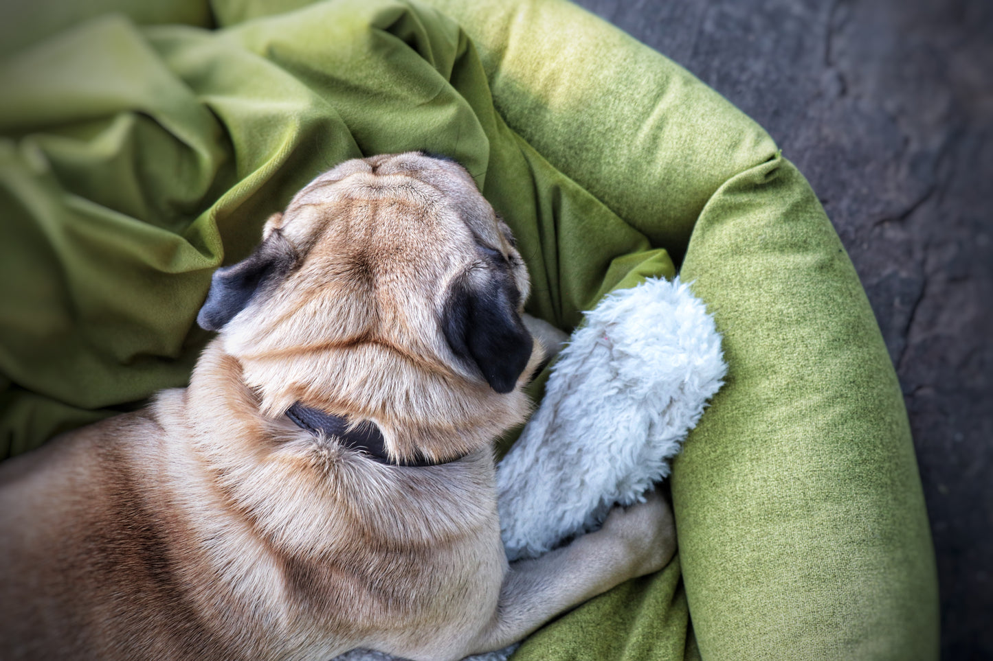 Alex sage dog bed