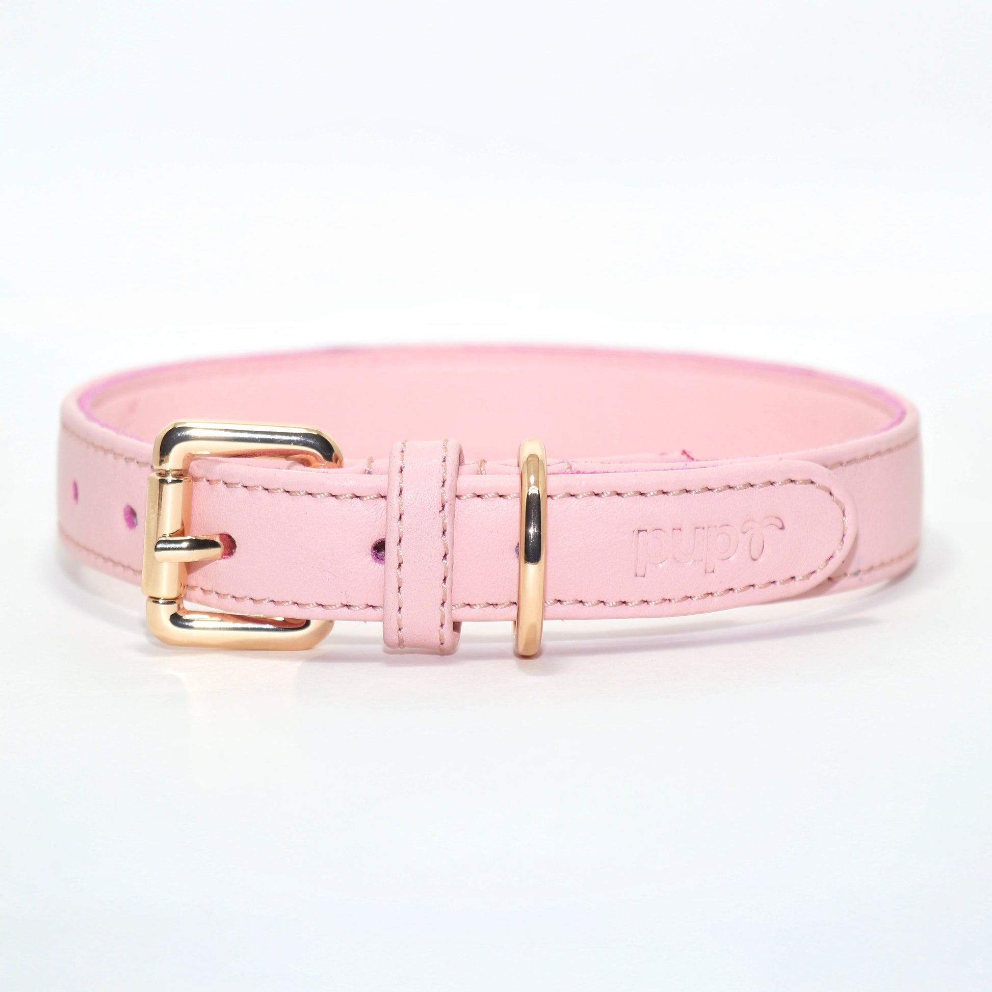 A pink dog collar with a gold-colored metal buckle and a brand tag attached.