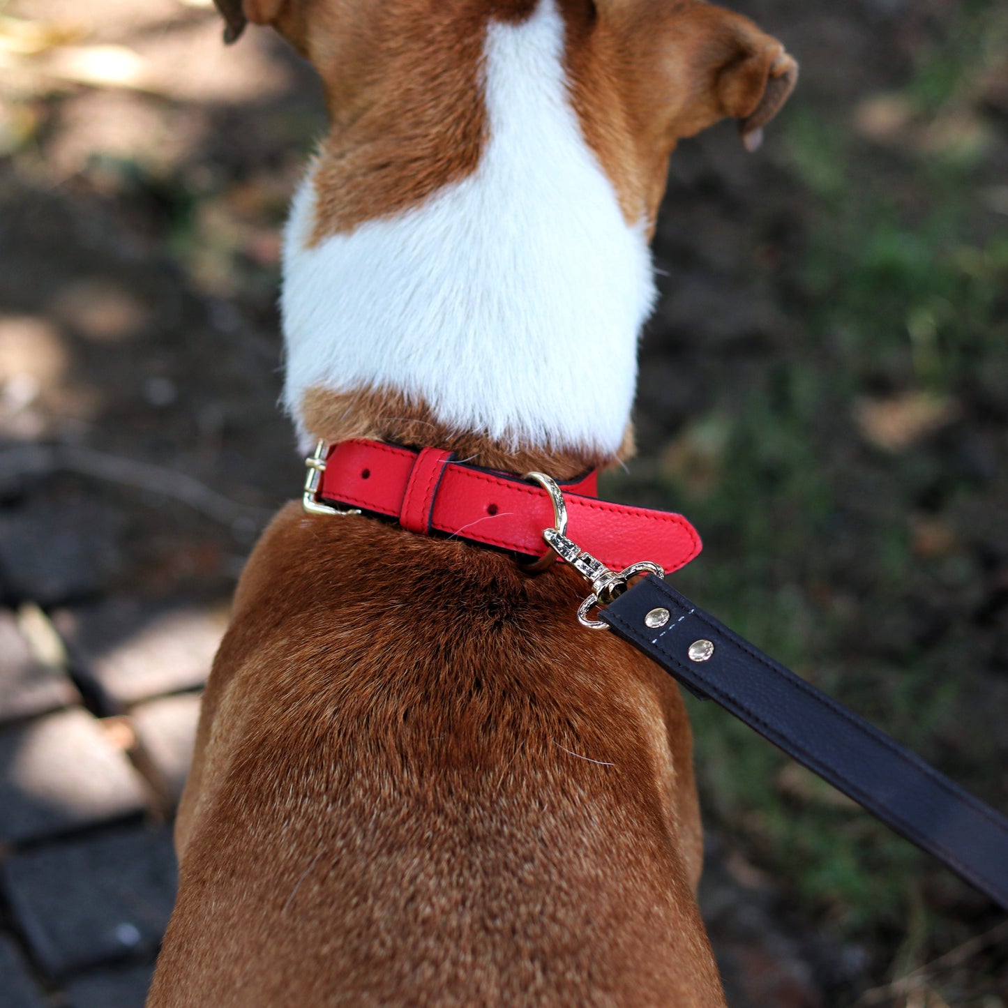 Red Dog Collar