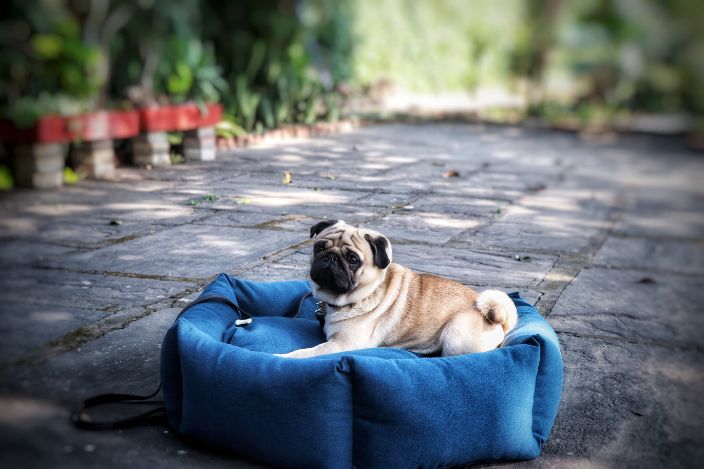Navy Blue Round Dog bed - Alex
