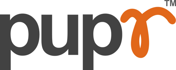 pupr.in