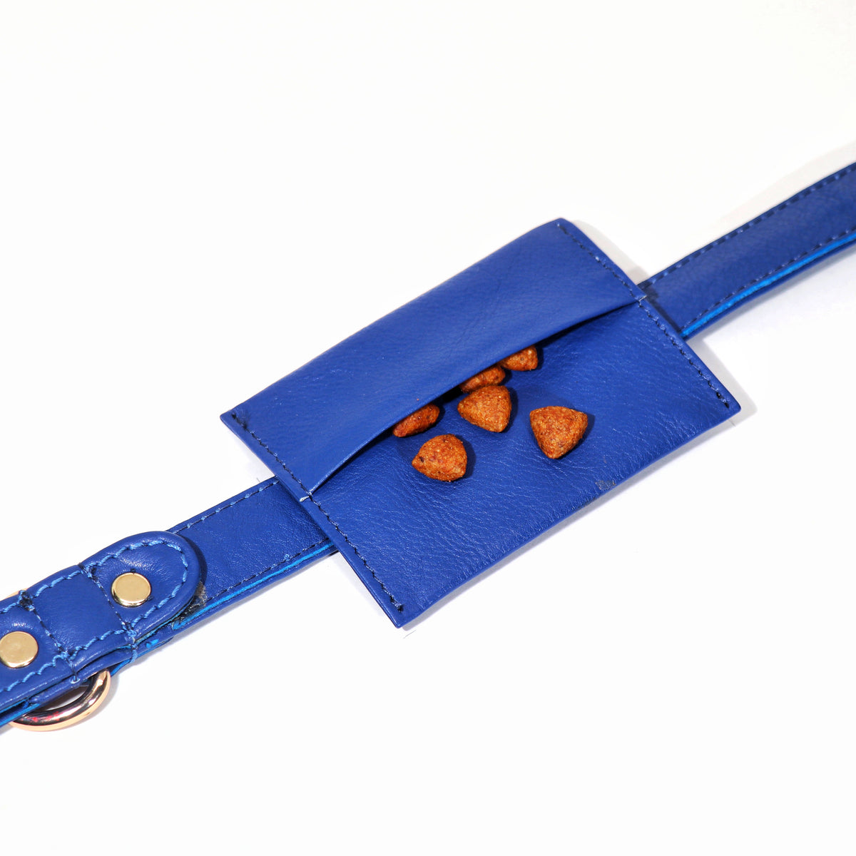 Sapphire Blue Dog Collar & Leash Set