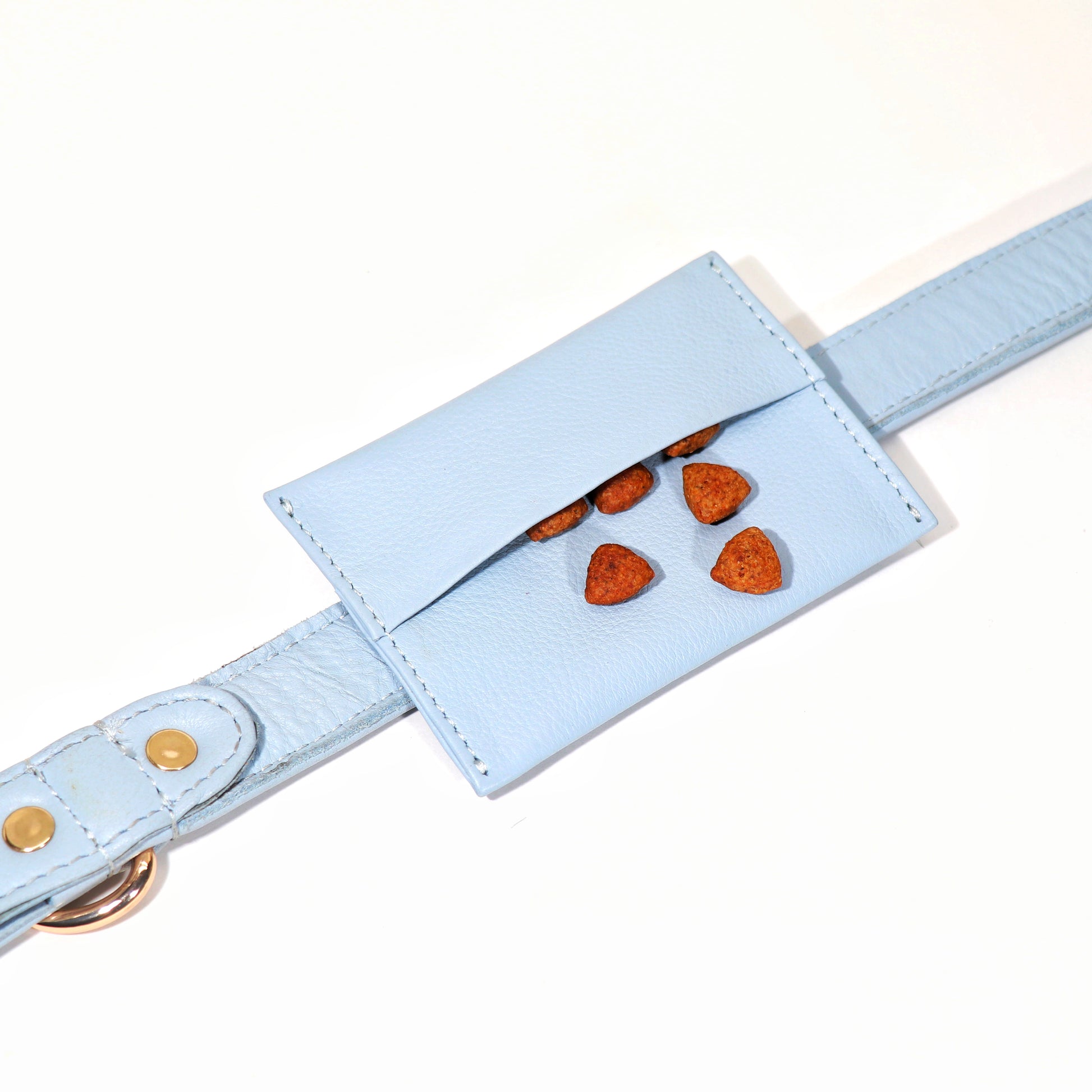 A blue dog treat pouch  attached to a leash, designed to hold dog treats with a visible paw print design on the holder.