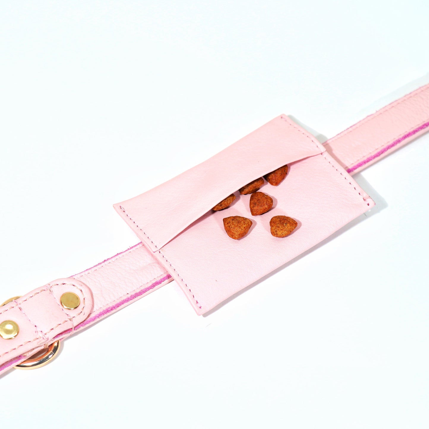 Blush Dog Treat Bag