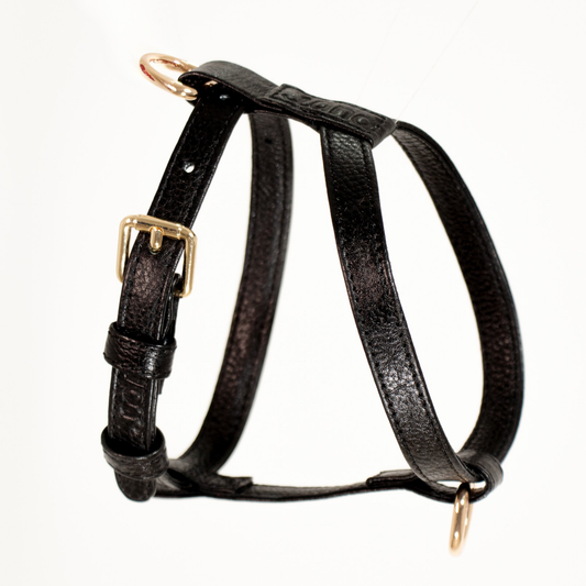 Why is a harness better choice than a collar for walks