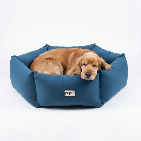 Golden Retriever sleeping on a blue Pupr orthopedic dog bed