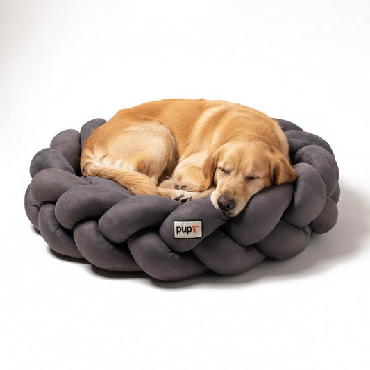 Golden Retriever sleeping in a plush dog bed