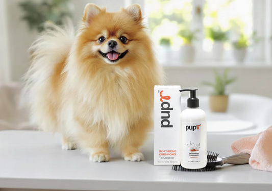 How to Shampoo Your Dog Like a Pro