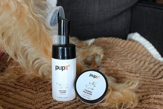 Why Paw Care Should Be Part of Every Dog’s Routine