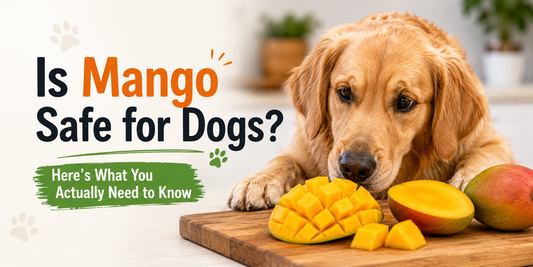 Is Mango Safe for Dogs? Here's What You Actually Need to Know