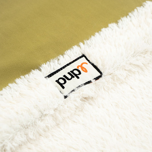 fluffy dog blanket