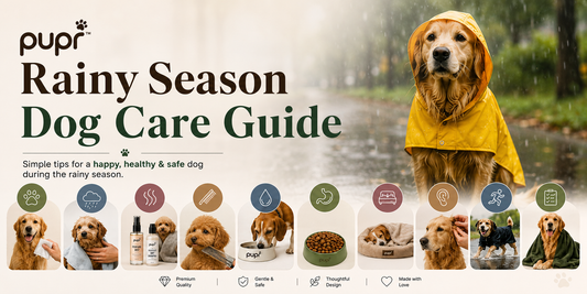 Pupr Rainy Season Dog Care Guide banner with a golden retriever in a yellow raincoat