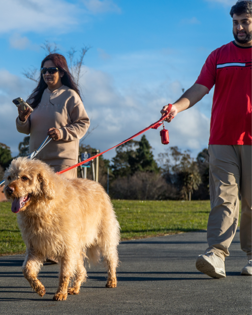 Simple Ways to Keep Your Dog or Cat Happy Every Day