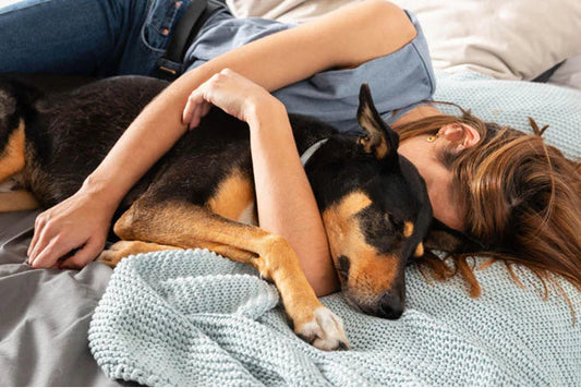 Why Dogs Choose Mum: A Valentine’s Day Reflection on Instinct, Trust, and Love
