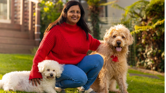 Signs That Your Dog Thinks of You as Their Parent