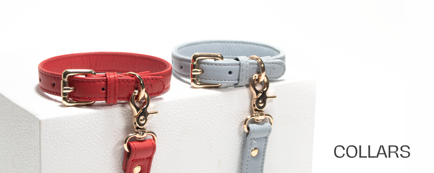 Collar