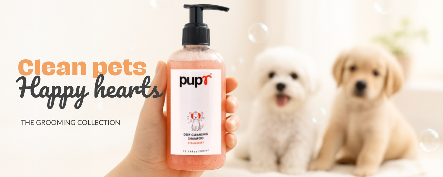 Dog Grooming Products