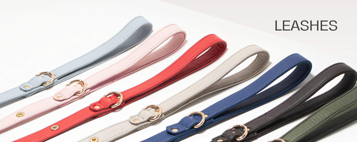 Dog Leashes