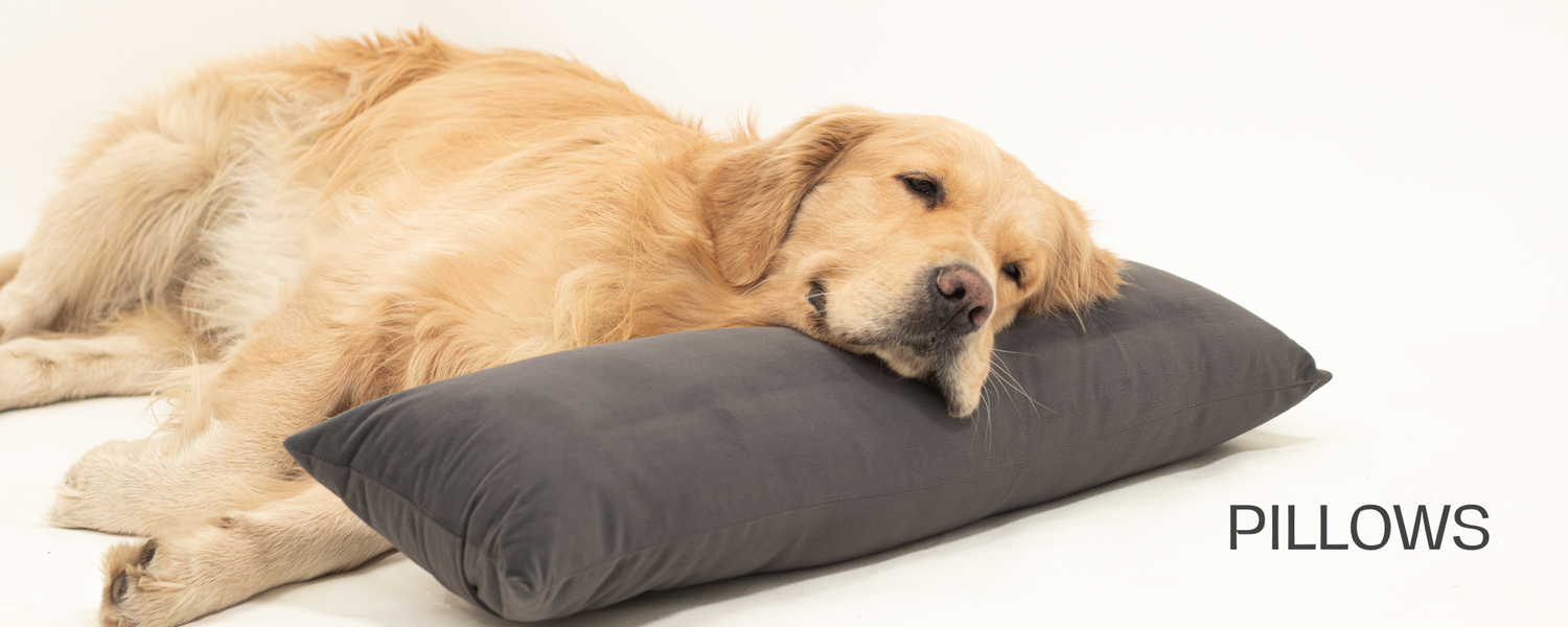 Dog-Pillows