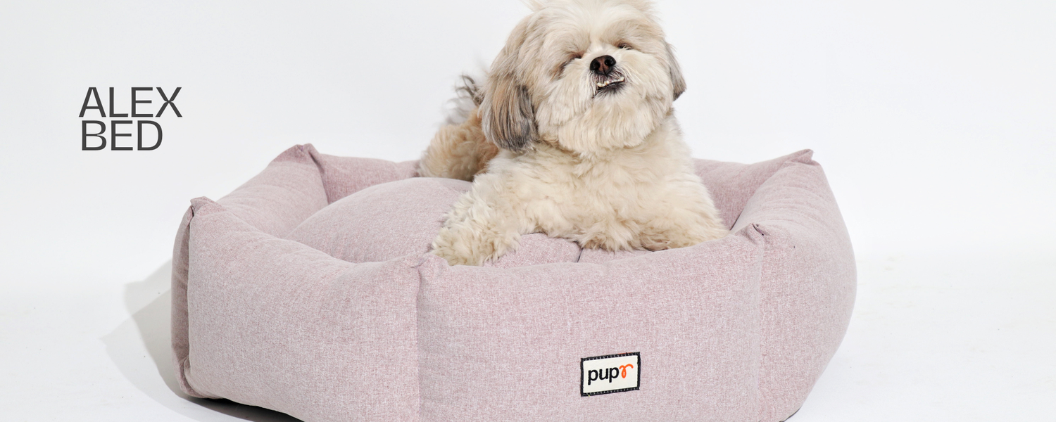 Alex Dog Bed