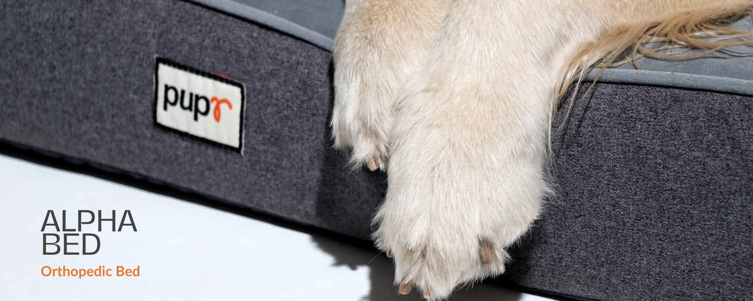 Alpha Dog Bed
