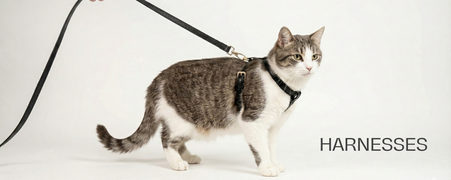 Dog & Cat Harness