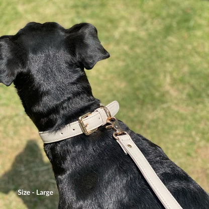 Beige Dog Collar